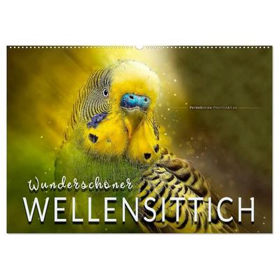 Wunderschöner Wellensittich (Wandkalender 2026 DIN A2 quer), CALVENDO Monatskalender