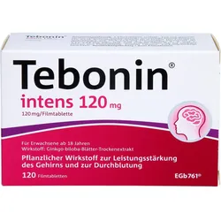 Tebonin Intens 120mg 120 ST