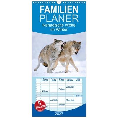 Familienplaner 2027 - Kanadische Wölfe im Winter mit 5 Spalten (Wandkalender, 21 x 45 cm) CALVENDO