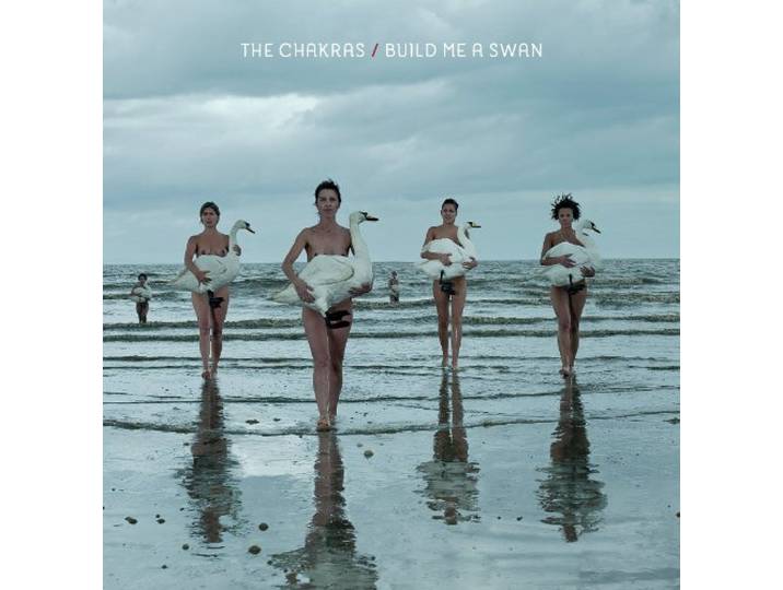 Build Me a Swan