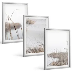 BILDER SET 3er Set - 40x60 cm Silberner Rahmen - Wasserpflanzen im Sommer