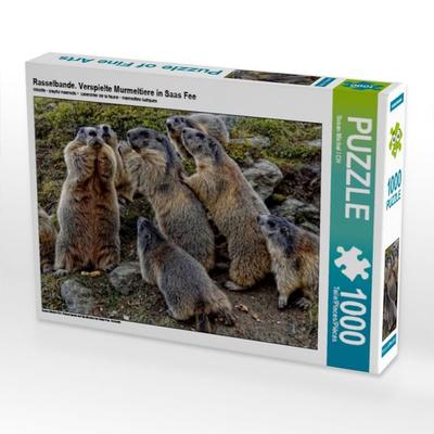 CALVENDO Puzzle Rasselbande. Verspielte Murmeltiere in Saas Fee | 1000 Teile Lege-Größe 64x48cm Foto-Puzzle für glückliche Stunden