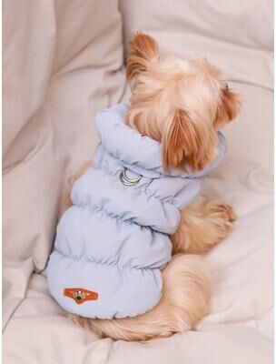 Uplifted Finds Premium Dog Jacket For Autumn Winter blue s