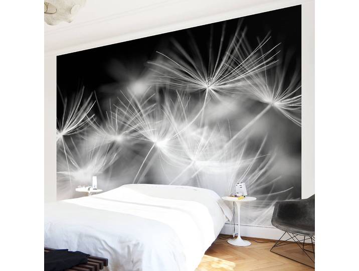 Vliestapete Pusteblumen 480 x 320cm 480 x 320 cm