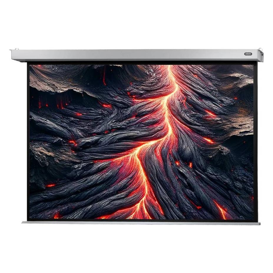 Celexon Electric Professional Plus Data format - Leinwand - Deckenmontage möglich, geeig (78.74", 4:3) (1090762)