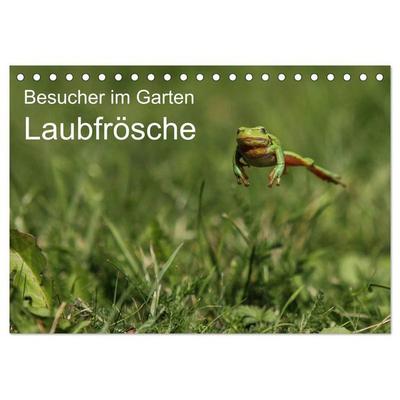 Besucher im Garten - Laubfrösche (Tischkalender 2026 DIN A5 quer), CALVENDO Monatskalender