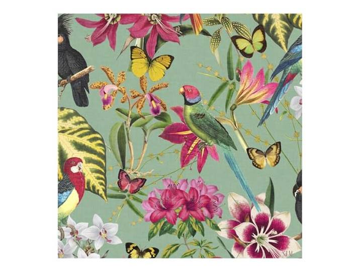 Graham & Brown Envy Paradiso Papier peint Motif floral Multicolore