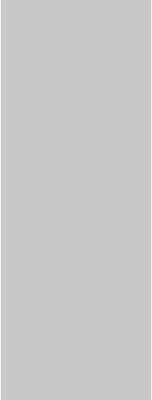 SARTODOORS Planum 0010 White Wood Door Slab