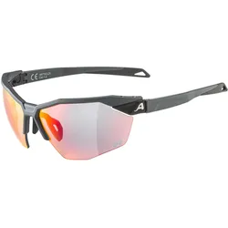 Alpina, Unisex, Sportbrille, Twist Six HR QV (Grey Matt, Rainbow), Grau