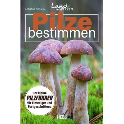 Pilze bestimmen - Der kleine Pilzführer für Einsteiger und Fortgeschrittene, Taschenbuch von Cornelia Gutjahr, Heel, 978-3-96664-524-9
