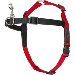 Company of Animals Halti Antizug M Front Control (M, Hund), Halsband + Leine