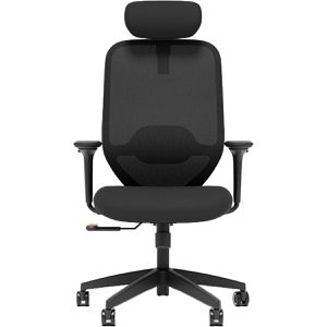 FlexiSpot Bürostuhl C5B-PRO, schwarz, Stoff / Netz, mit Kopfstütze, belastbar bis 150 kg
