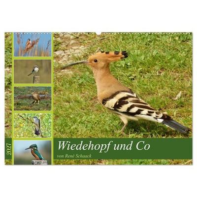 Wiedehopf und Co - von René Schaack (Wandkalender 2027 DIN A2 quer), CALVENDO Monatskalender