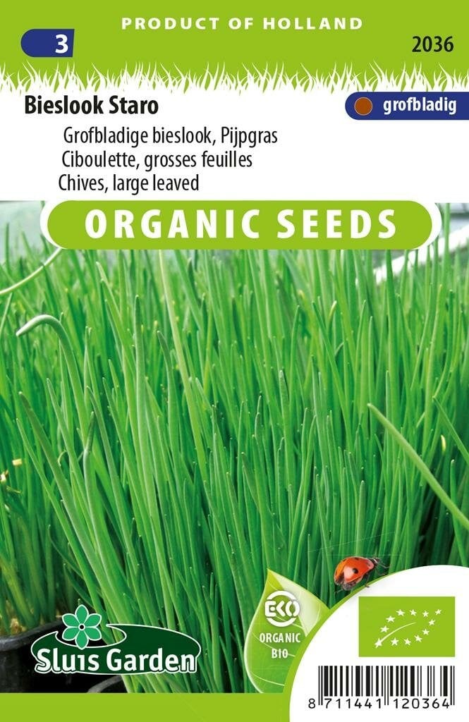 Sluis Garden Biologische Bieslook zaden Grove Staro