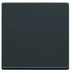Busch-Jaeger BT-Bedienelement 1-fach 6735 BT-81