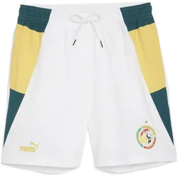 Puma, Herren, Sporthose, FSF Woven Shorts (S), Weiss