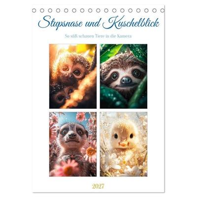 Stupsnase und Kuschelblick (Tischkalender 2027 DIN A5 hoch), CALVENDO Monatskalender