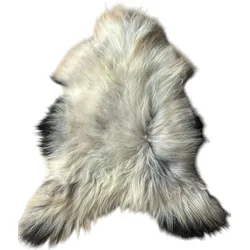 SCHAFFELL Ganzes Island Lammfell Langhaarig Cremeweiß/Schwarze Spitzen, ca. 120 cm