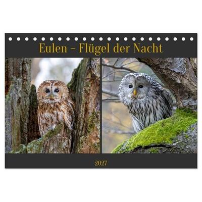Eulen - Flügel der Nacht (Tischkalender 2027 DIN A5 quer), CALVENDO Monatskalender