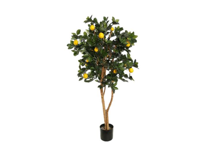Lebensechte Kunstpflanze „Golden Lemon Tree“, Ø 70 x 150 cm Grün Baq Design