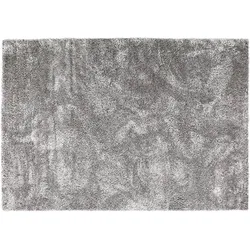Astra Teppich Paulie D.250 C.004 silber 120x180 cm