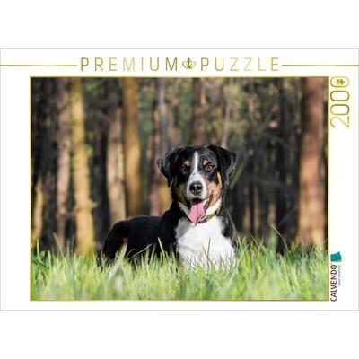 CALVENDO Puzzle Im Wald | 2000 Teile Lege-Größe 90x67cm Foto-Puzzle für glückliche Stunden