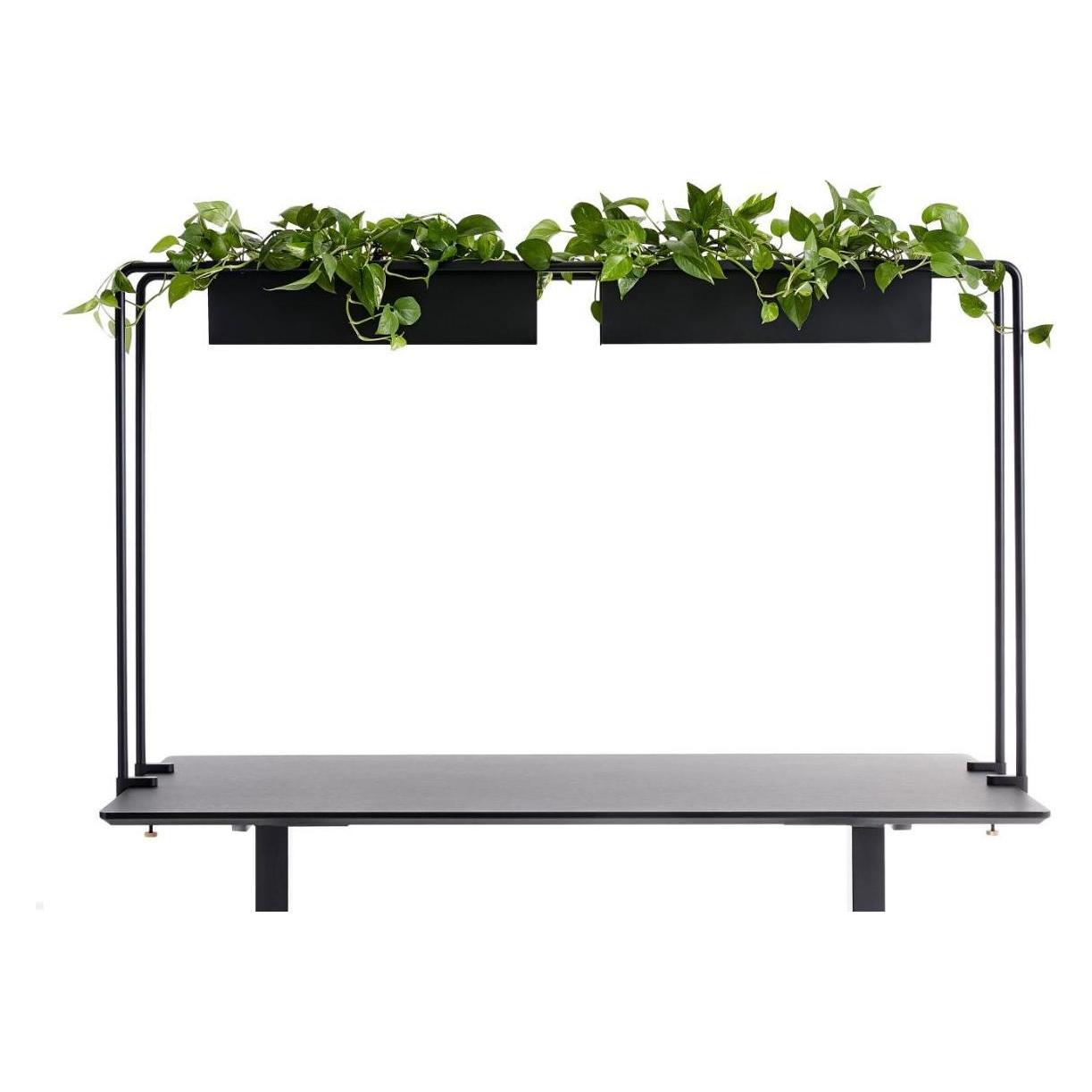 Apto Schreibtisch Halterung für Blumenkästen 160x80x2cm mit Tischklemmen, schwar... (54364537)