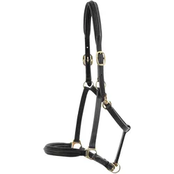 Premier Equine, Halfter