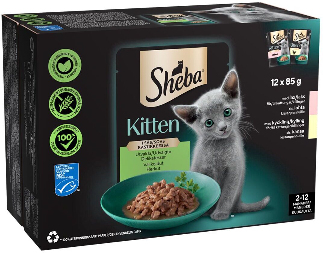 Sheba Kitten Våtfoder Till Kattunge Med Lax Och Kyckling 12x85 G