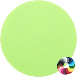 BIASTO - Premium Filz Untersetzer - rund 25cm - Farbe: pastell-grün (HF039). Design Glas-Untersetzer für Getränke, Tisch, Bar, Tasse, Vase