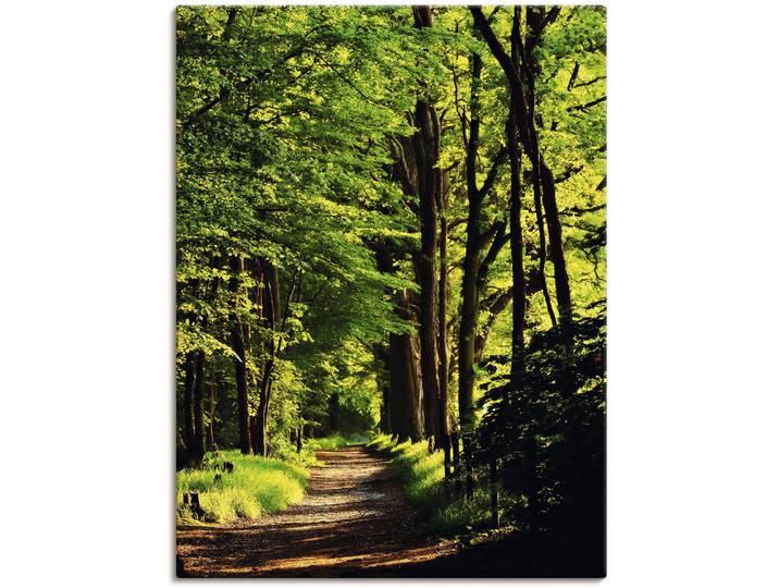 Wandbild ARTLAND Weg im Wald , grün (farbe bild(er): grün), B:60cm H:80cm, Bilder, Wandbild, als Leinwandbild, Poster in verschied. Grössen