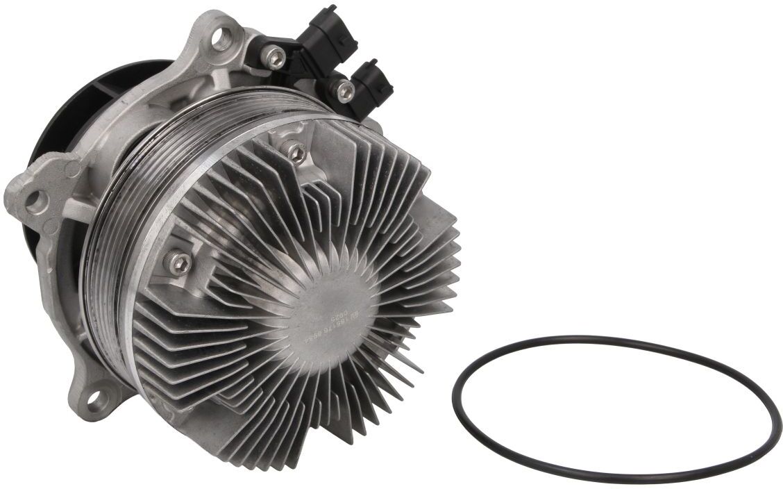 Febi Bilstein Pompa acqua 185176