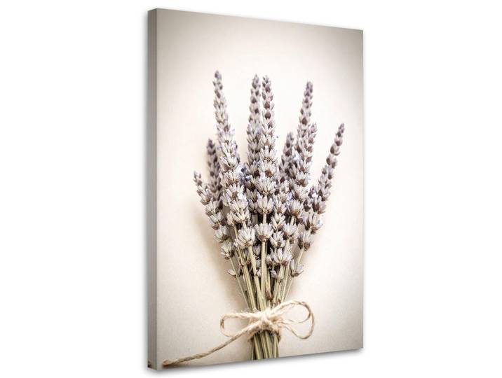 Feeby Leinwandbild @Pflanzen Natur Boho 80x120cm, Beige, Baum/Pflanze/Natur, Rechteckig, 80x120 cm, Bilder & Rahmen, Bilder, Leinwandbilder