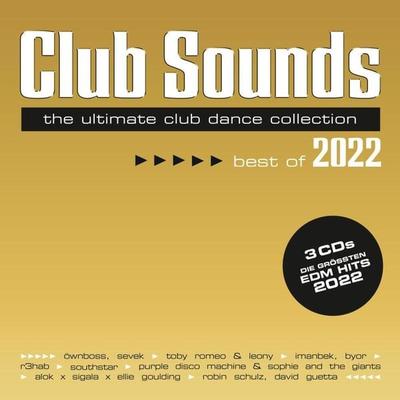 Club Sounds Best Of 2022 - Various, CD