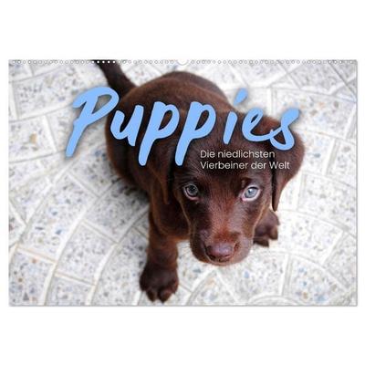 Puppies - Die niedlichsten Vierbeiner der Welt. (Wandkalender 2027 DIN A2 quer), CALVENDO Monatskalender