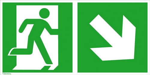 SafetyMarking Fluchtwegschild Aluminium Notausgang rechts, Richtungsangabe rechts abwärts 15.3042 (B x H) 300mm x 150mm ISO 7010