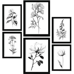 POSTER Set Mit 6 Üppige Blumen Blumenmotiven In Klassischem Schwarz Und Weiß A3 & A4 Rahmenlos