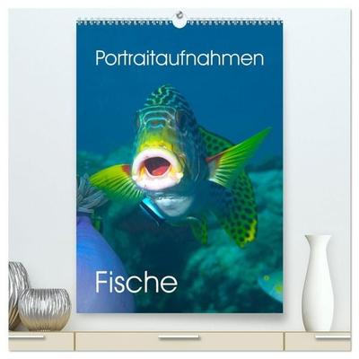 Portraitaufnahmen - Fische (hochwertiger Premium Wandkalender 2027 DIN A2 hoch), Kunstdruck in Hochglanz