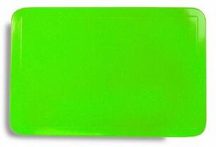 IH Casa Decor Plastic Placemat (Light Green) - Set of 12