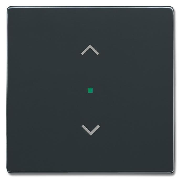 Busch-Jaeger Wippe 1-fach,Symbol 6232-10-81 Jalousie Busch-free@home anthrazit (2CKA006220A0038)