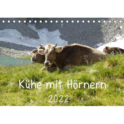 Kühe mit Hörnern (Tischkalender 2022 DIN A5 quer)