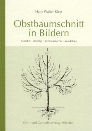 Riess, Hans Walter - Obstbaumschnitt in Bildern: Kernobst - Steinobst - Beerensträucher - Veredlung - Preis vom 30.09.2026 09:01:18 h
