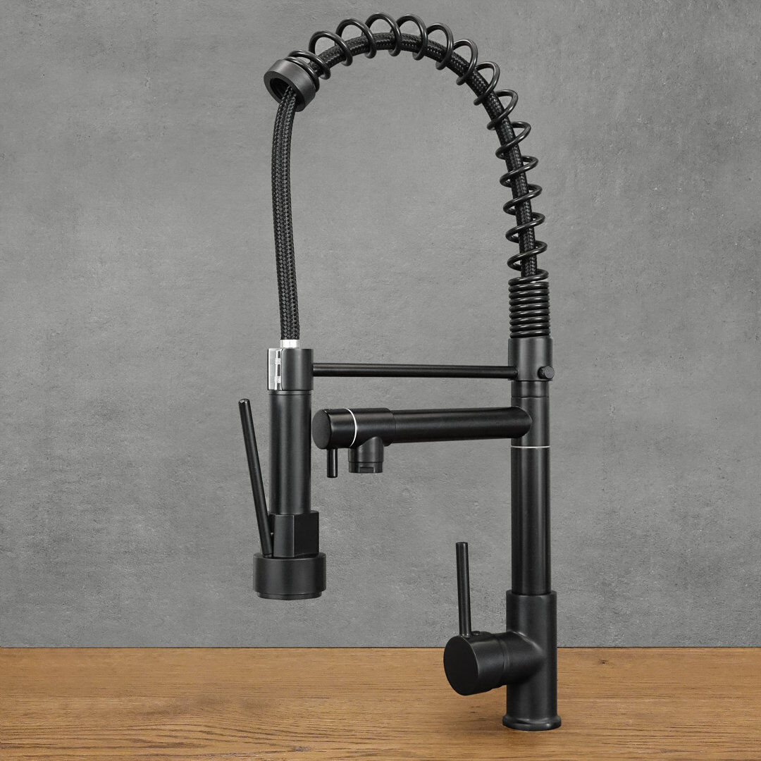 Belfry Kitchen Kitchen Faucet Black 19cm