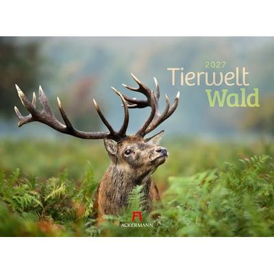 Tierwelt Wald Kalender 2027