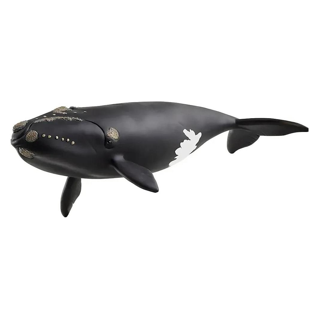 Schleich Nordatlantischer Glattwal (14878)