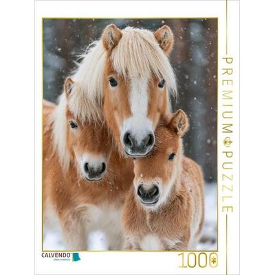 CALVENDO Puzzle Ein Haflinger trägt den Winter mit Würde | 1000 Teile Lege-Größe 64x48cm Foto-Puzzle für glückliche Stunden, von , Calvendo Puzzle