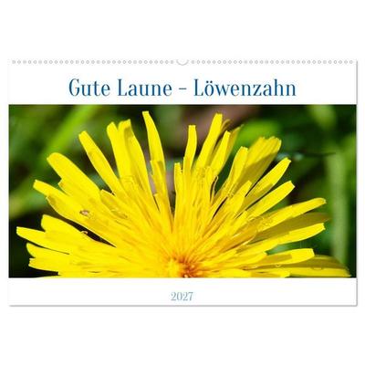 Gute Laune - Löwenzahn (Wandkalender 2027 DIN A2 quer), CALVENDO Monatskalender