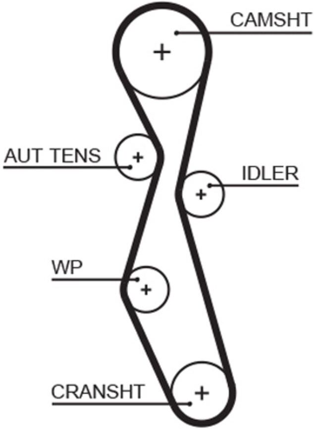 Zahnriemen GATES 5606XS
