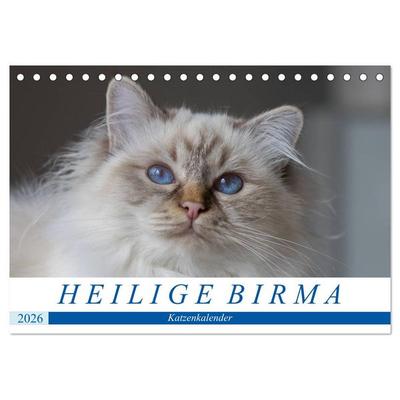 Heilige Birma Katzenkalender (Tischkalender 2026 DIN A5 quer), CALVENDO Monatskalender