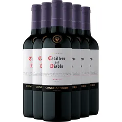 2023 Casillero del Diablo Reserva Merlot im 6er-Vorratspaket